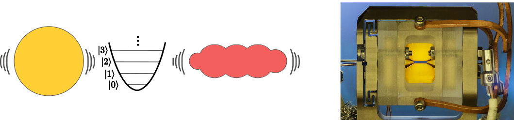 moleule